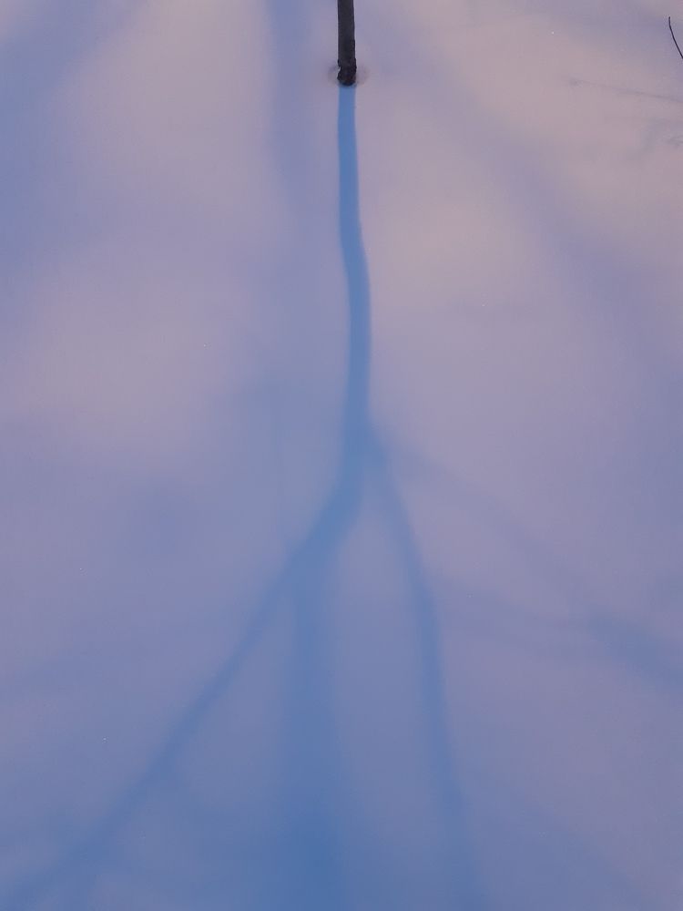 Photograph by Ирина Регинская