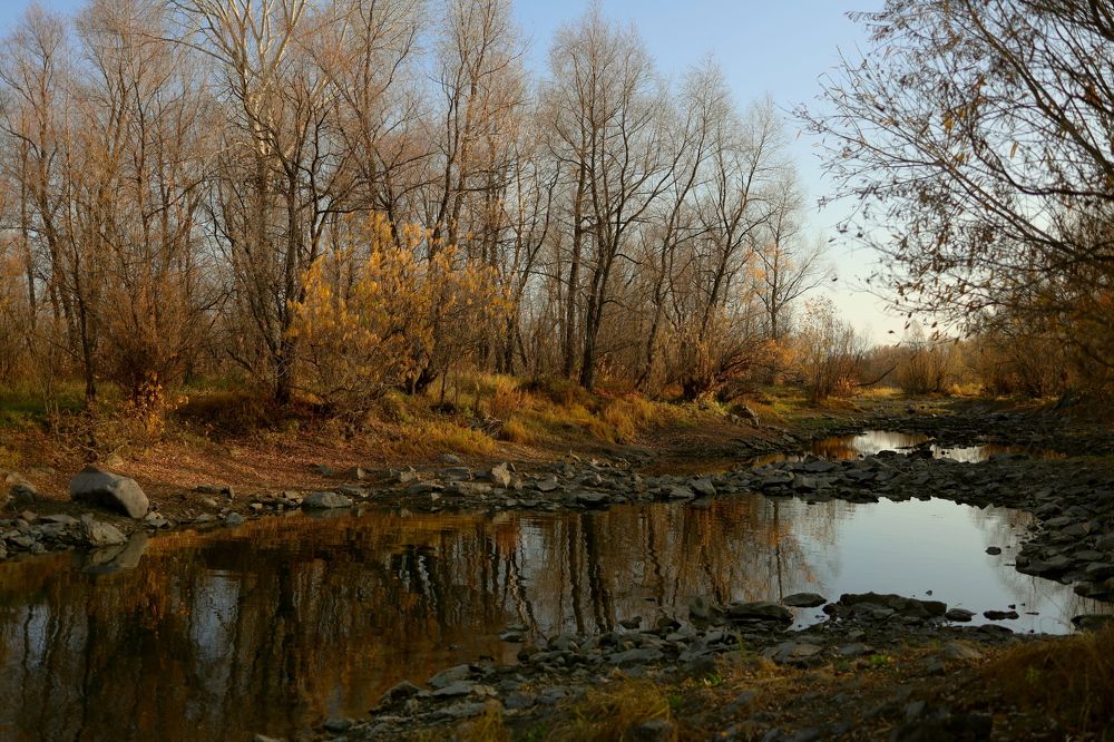 Photograph by Наталья Адалинская