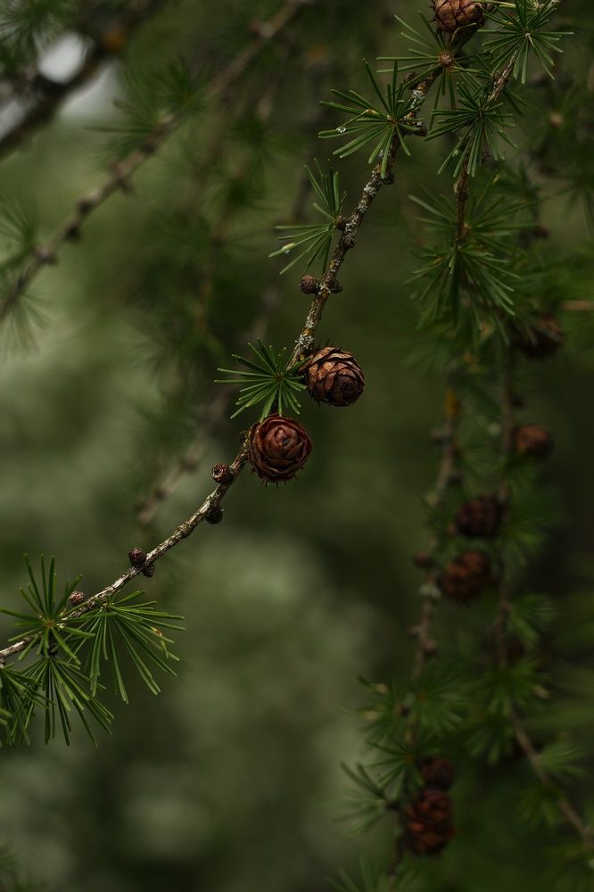Photograph by Анастасия Братчун