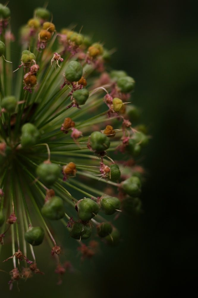 Photograph by Анастасия Братчун