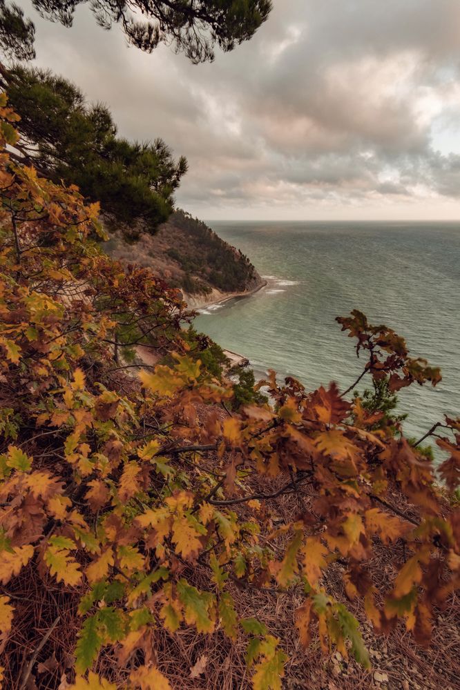 Фотография автора Константин Яковлев