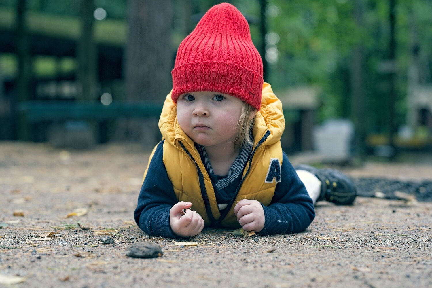 Photo #9712842