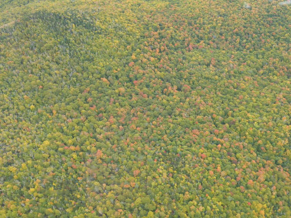 Photograph by esti lahat