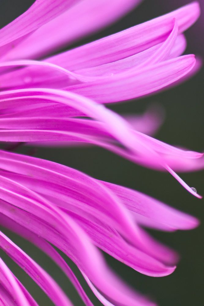 Photograph by Дмитрий Солодухин