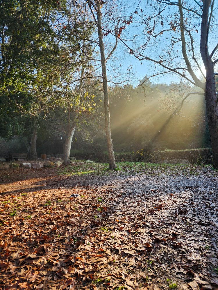 Photograph by esti lahat