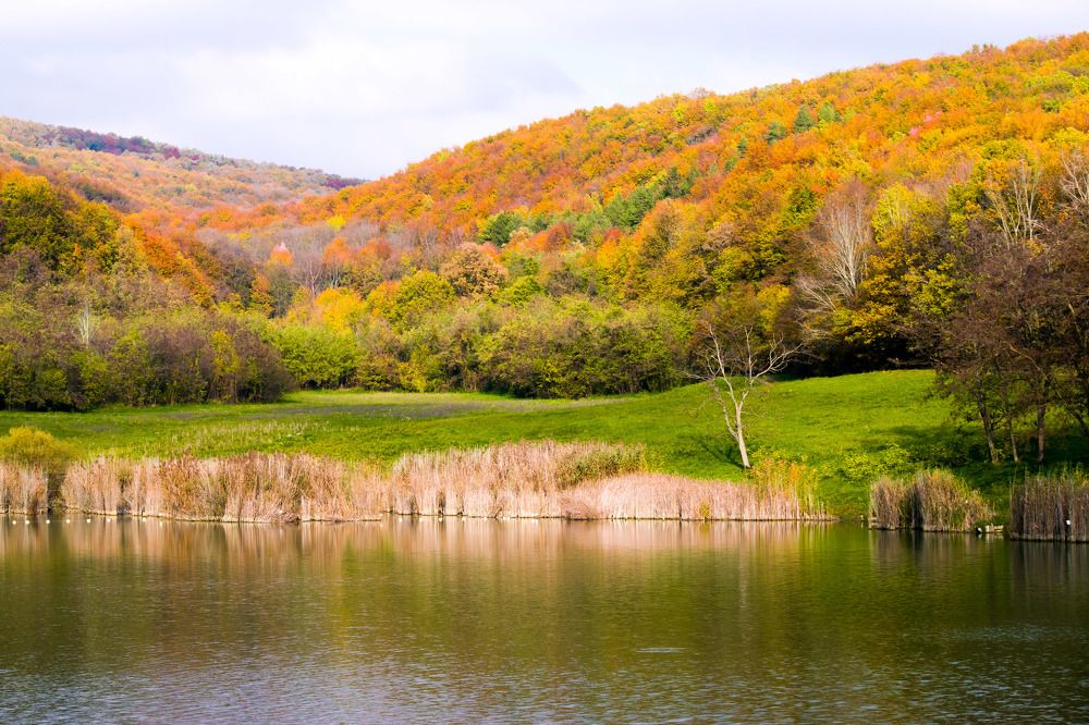 Photograph by ivca golemi