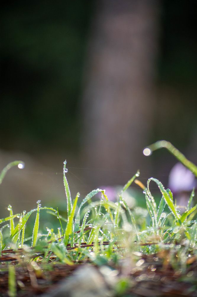 Photograph by esti lahat