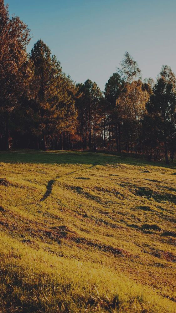 Photograph by Лолита Малахова