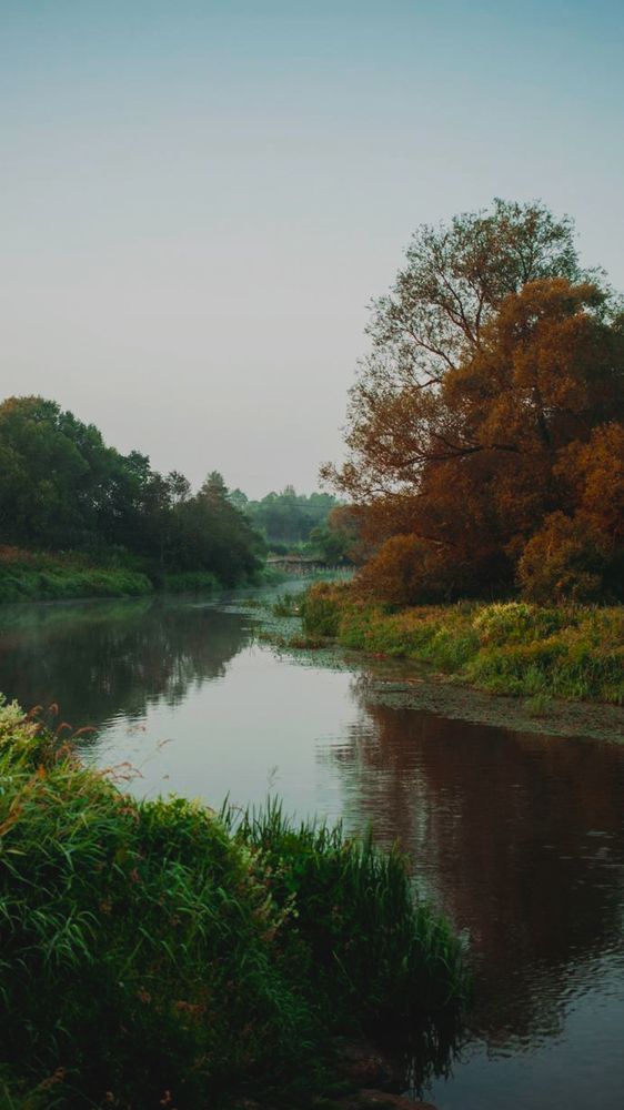 Photograph by Лолита Малахова