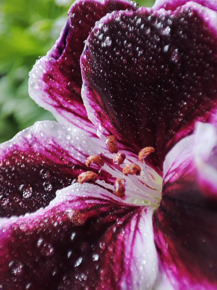 Photograph by Лолита Малахова