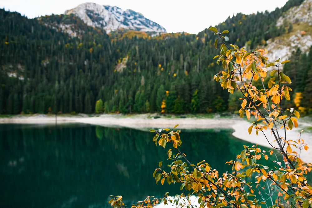 Photograph by Анна Лещенко