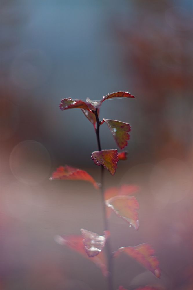 Photograph by Владислав Капанов