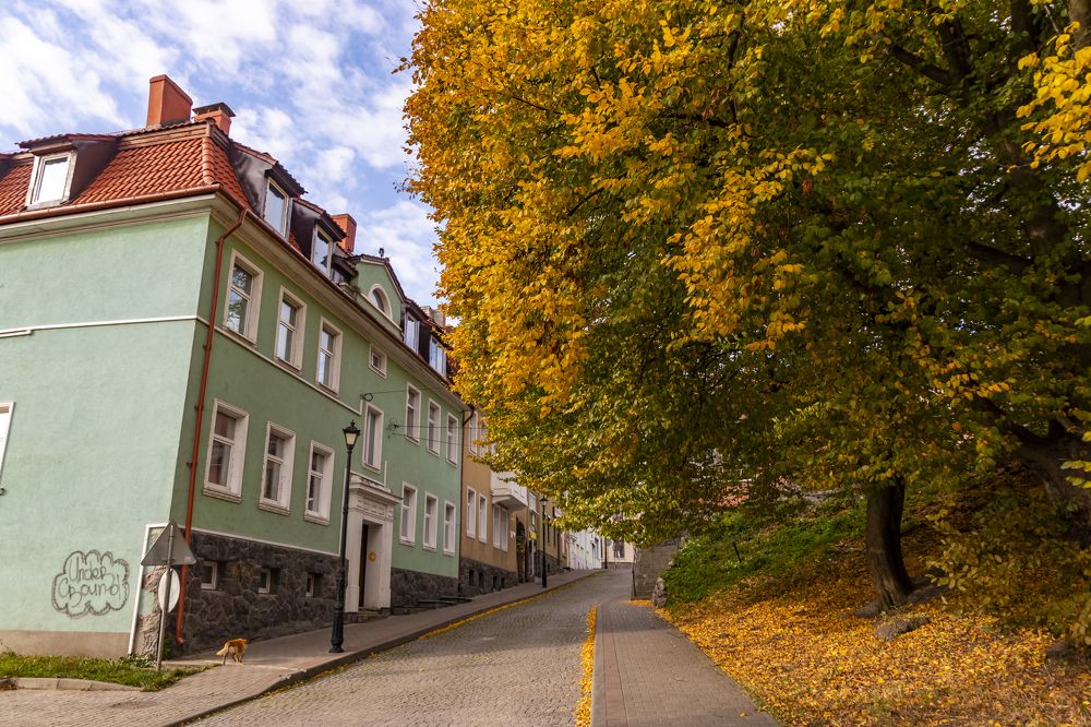 Photograph by Константин Чижов