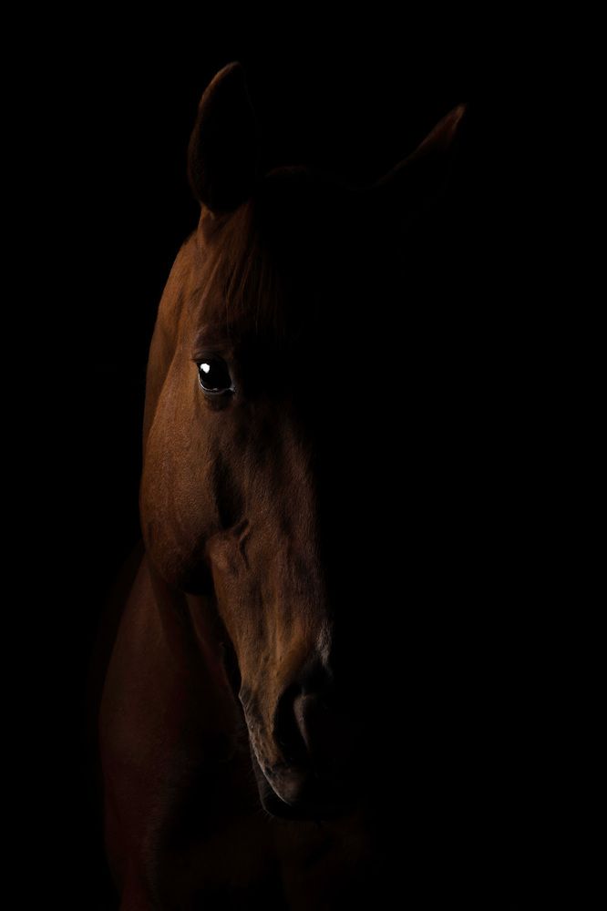 Photograph by Zsuzsanna Kata Fürstné Horváth