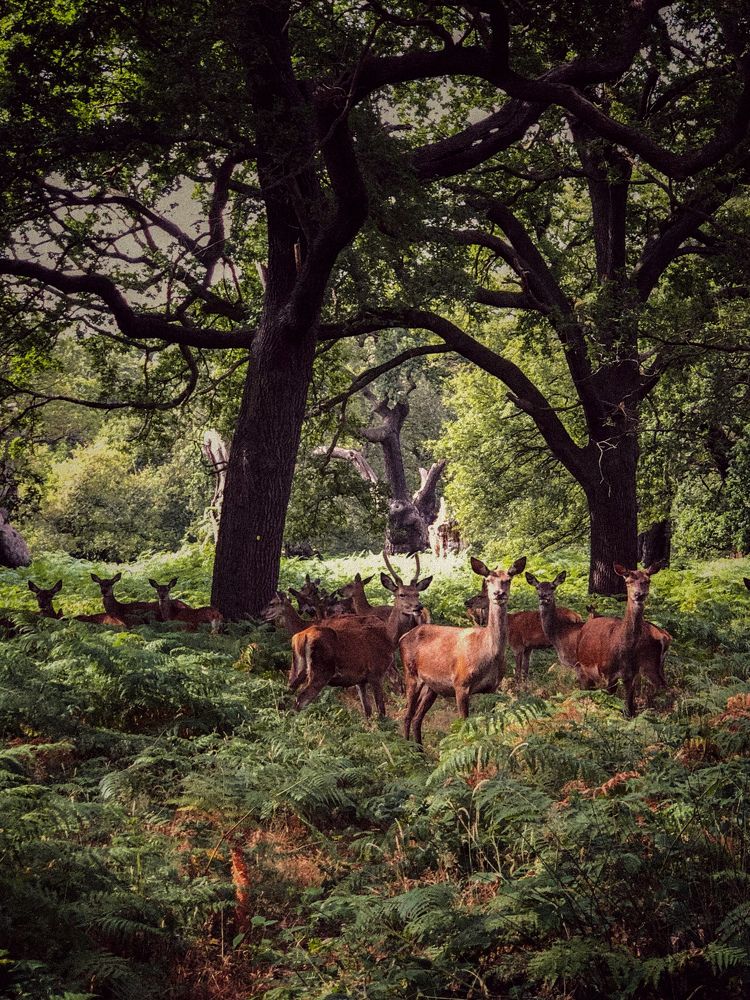 Photograph by Zinaida Sassarini