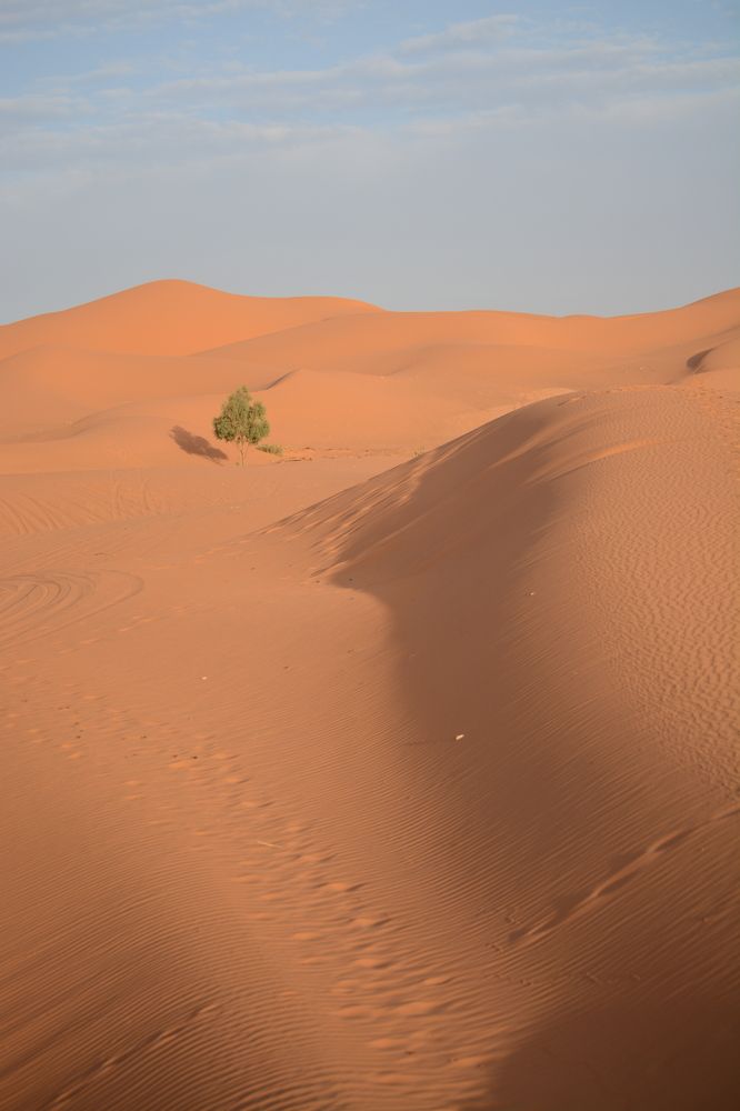 Photograph by esti lahat