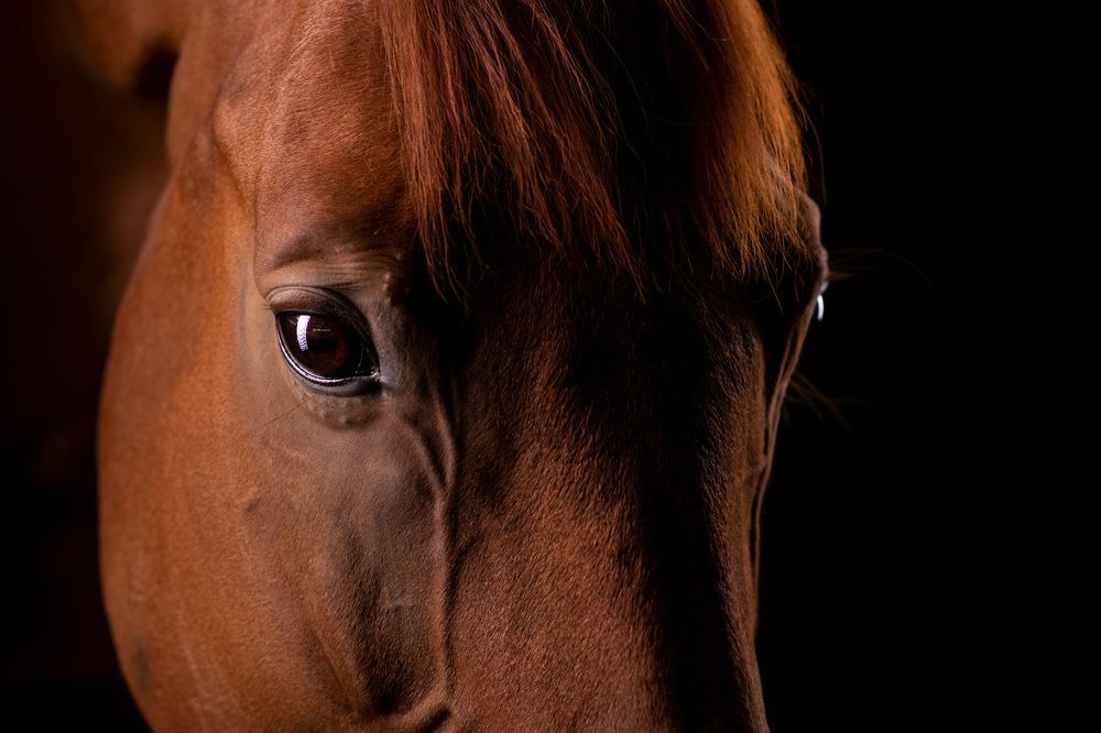 Photograph by Zsuzsanna Kata Fürstné Horváth