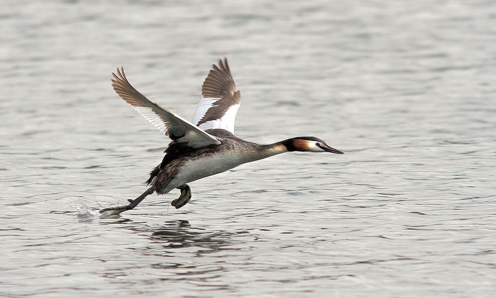 Фотография автора Михаил Крюков