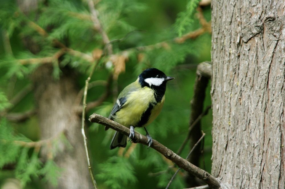 Photograph by Ирина