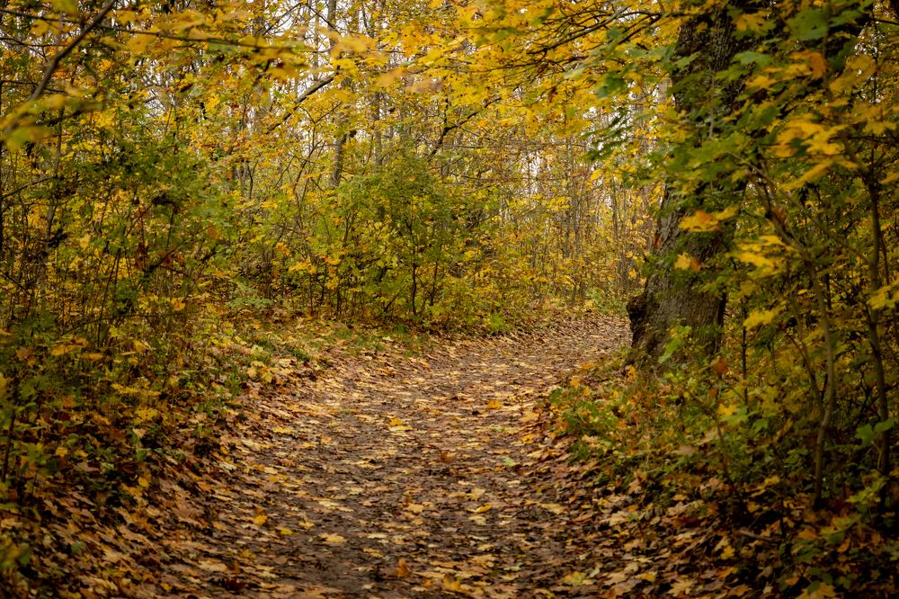 Photograph by Константин Чижов