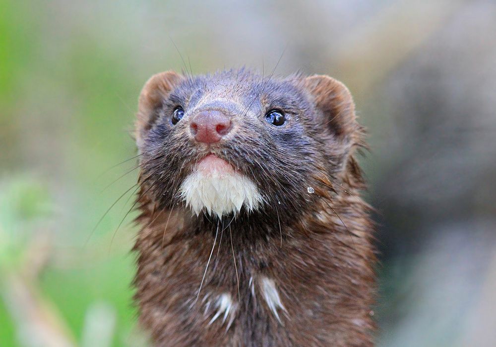 Фотография автора Михаил Крюков