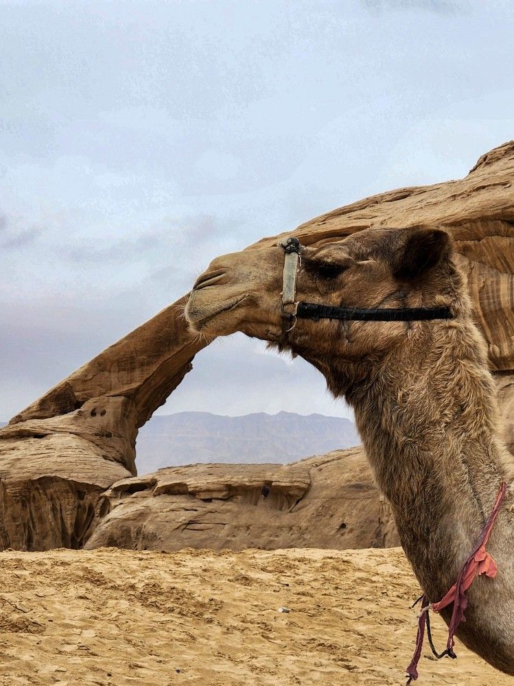 Photograph by esti lahat