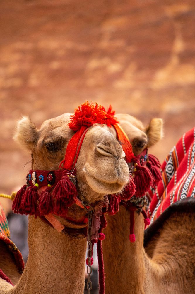 Photograph by esti lahat