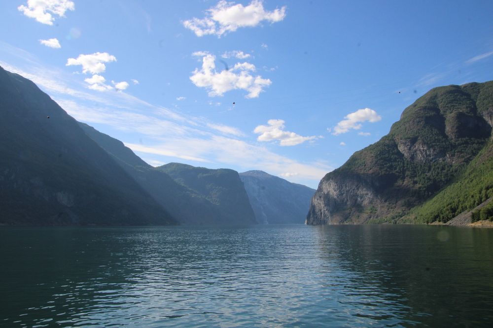 Photograph by Anna Baykova