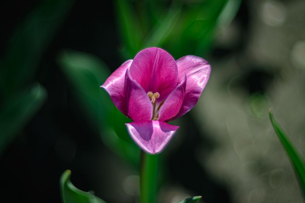 Photograph by Елена Берсенёва