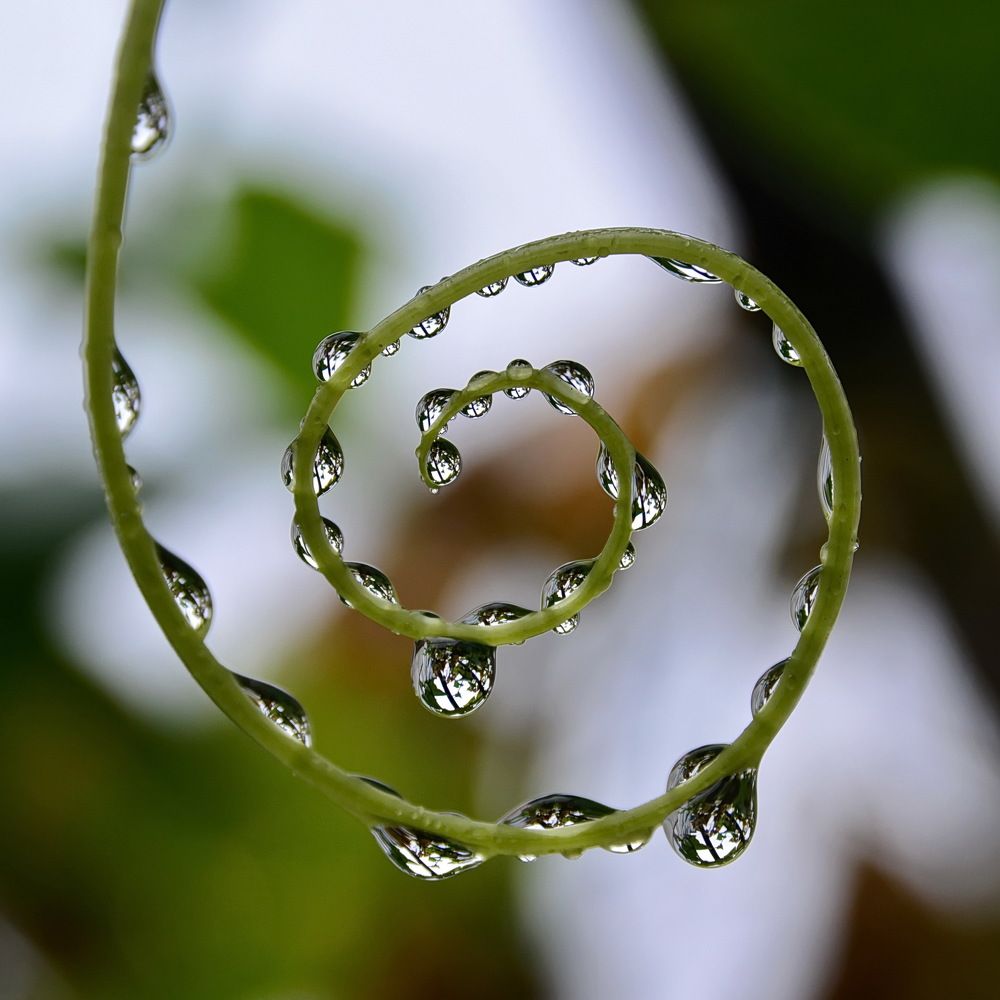 Photograph by Andrey