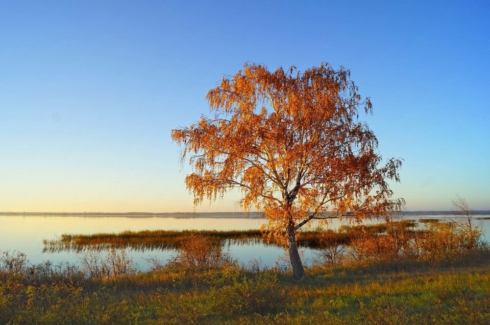 Photograph by Мишустина Татьяна