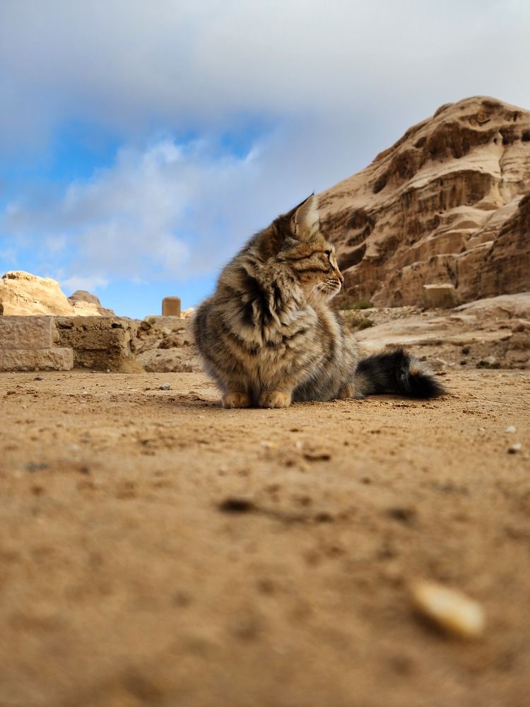 Photograph by esti lahat