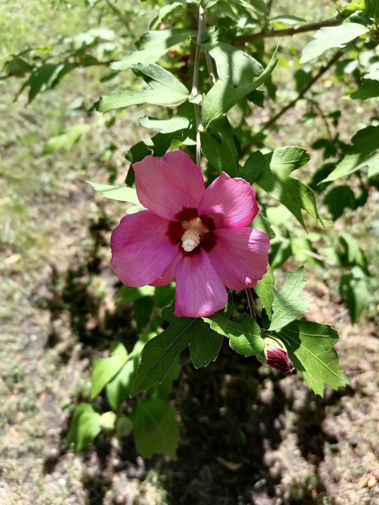 Photograph by Иващенко Юлия