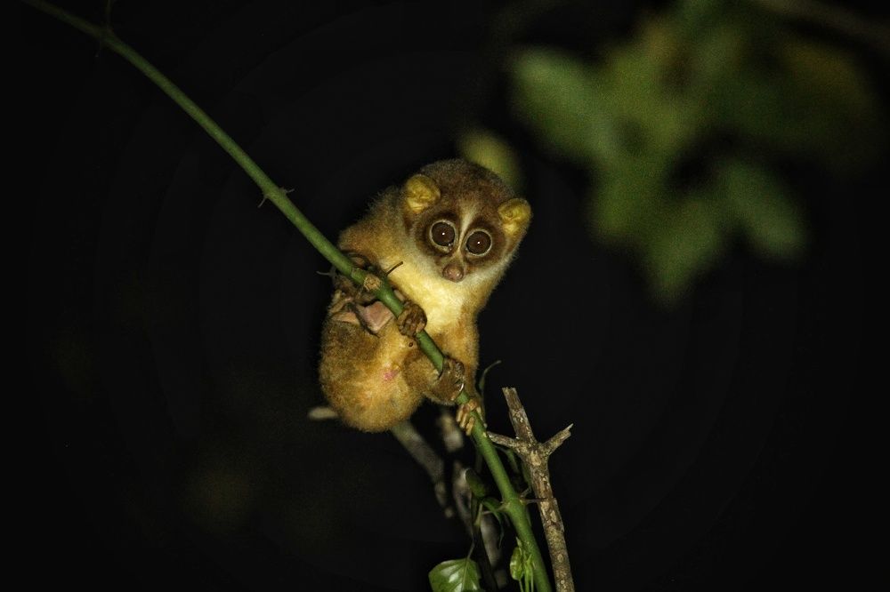 Photograph by prabhakar Gujjarappa