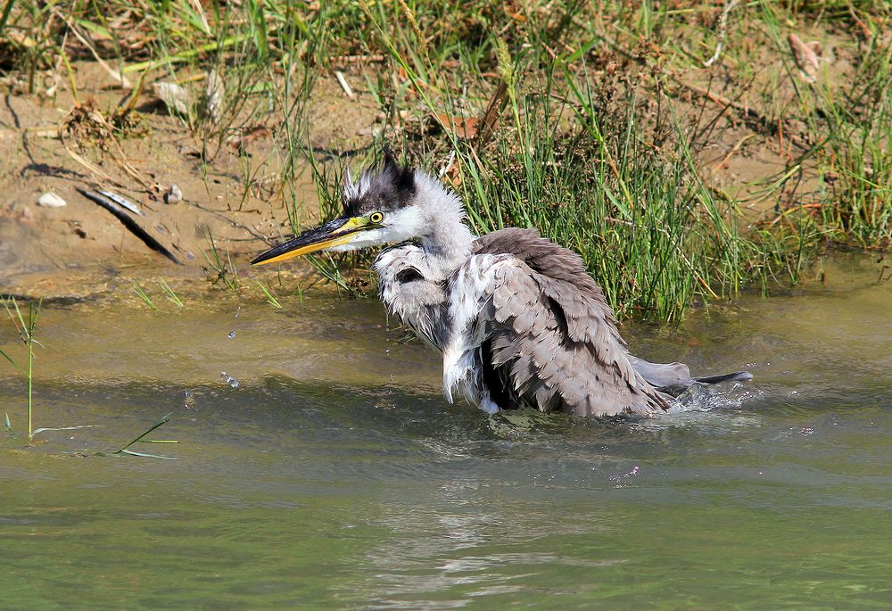 Фотография автора Михаил Крюков