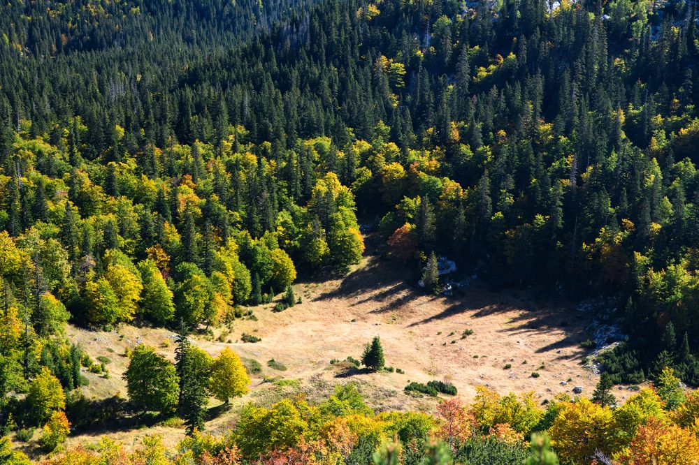 Photograph by Анна Лещенко