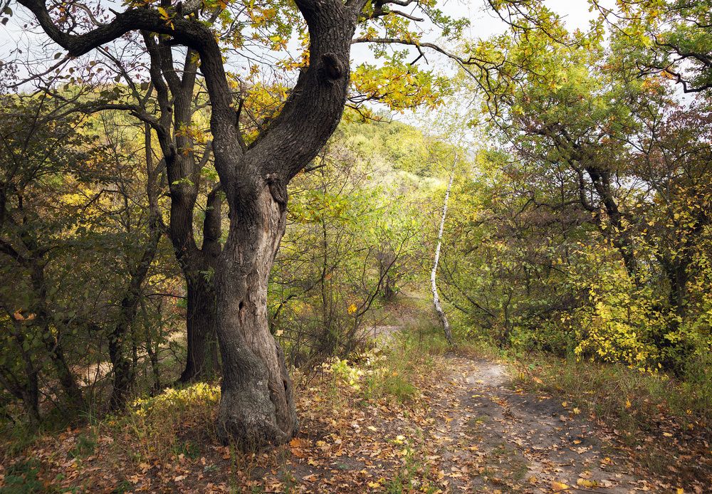 Фотография автора Валерий Лушин