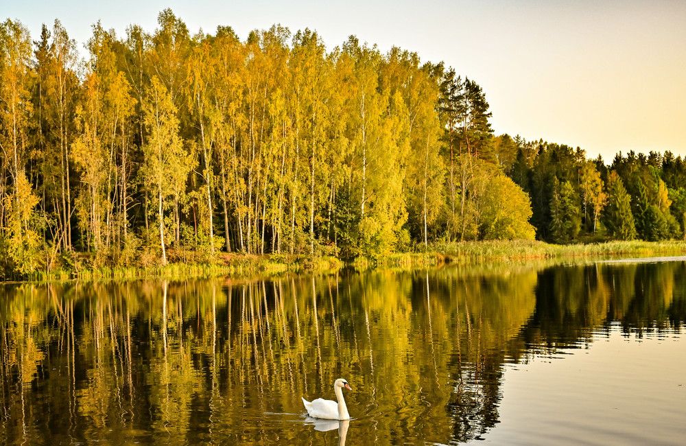 Photograph by Tanzilya Gabidullina