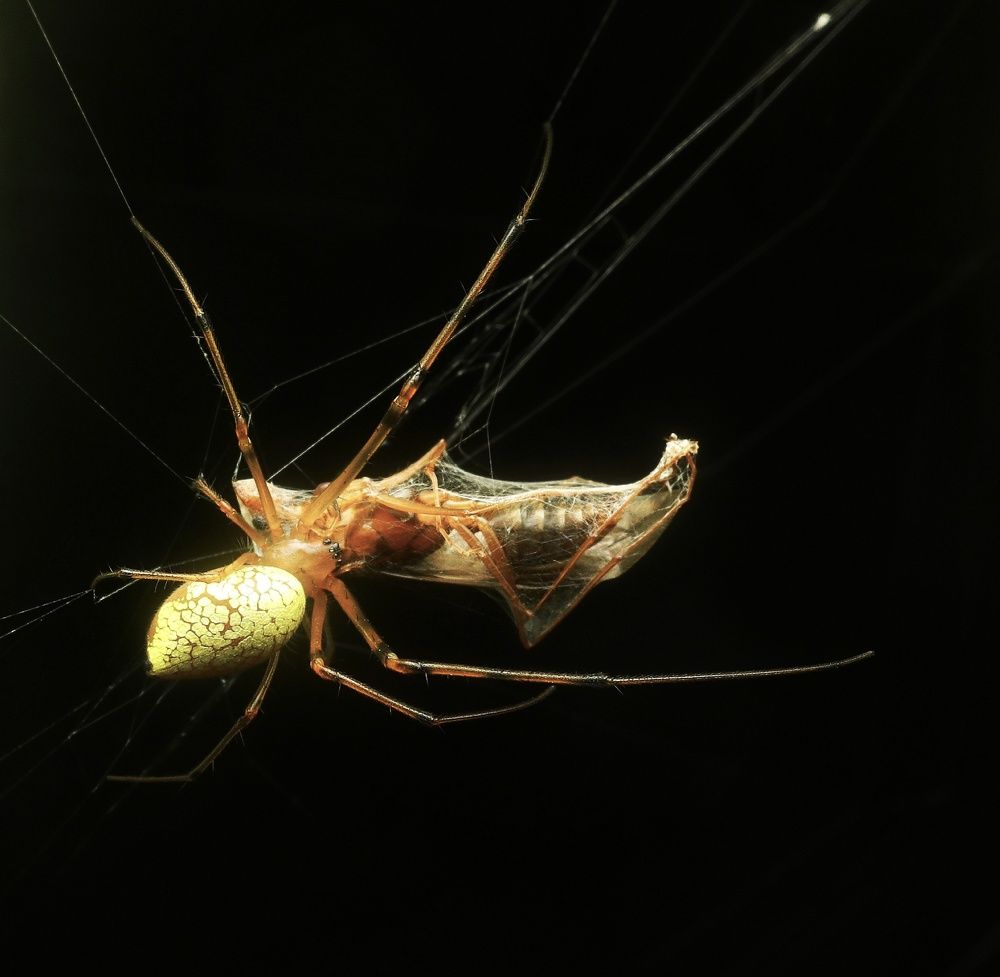 Photograph by prabhakar Gujjarappa