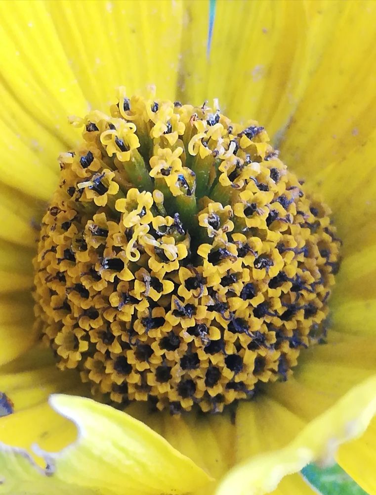 Photograph by Evgeniya Burkaeva