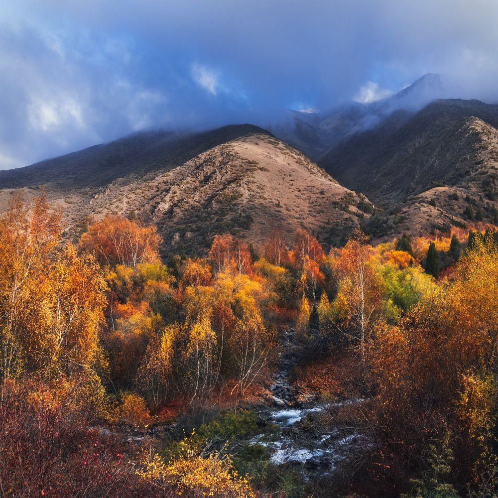 Ущелье Коксай