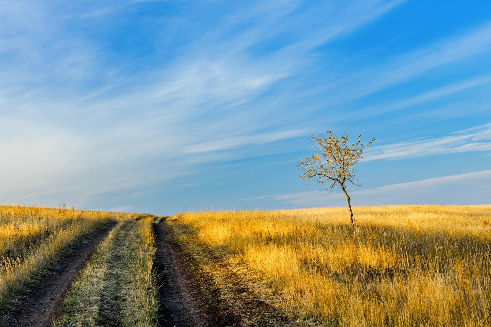 Одинокий у дороги