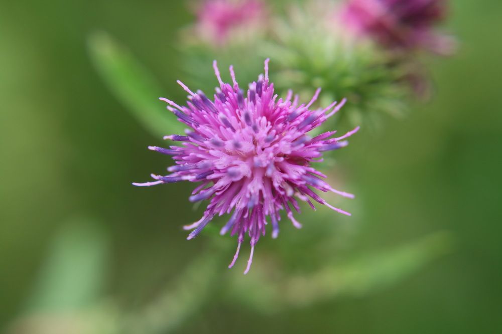 Photograph by ILYA KOREYSHA