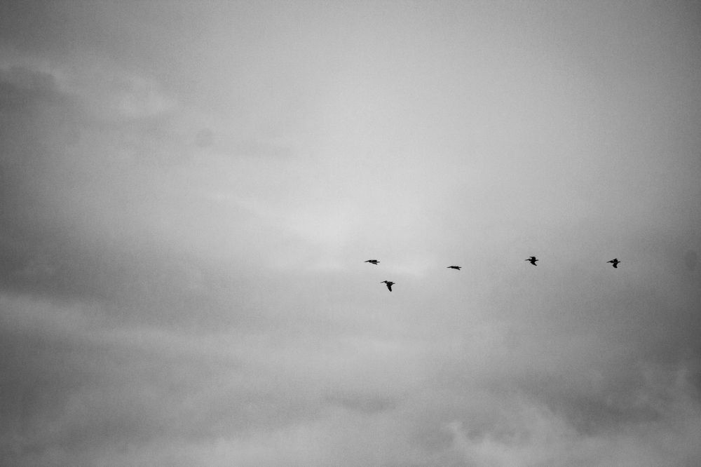 Photograph by Jankier Quincoces