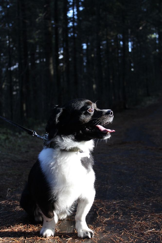 Photograph by Татьяна Пуртова