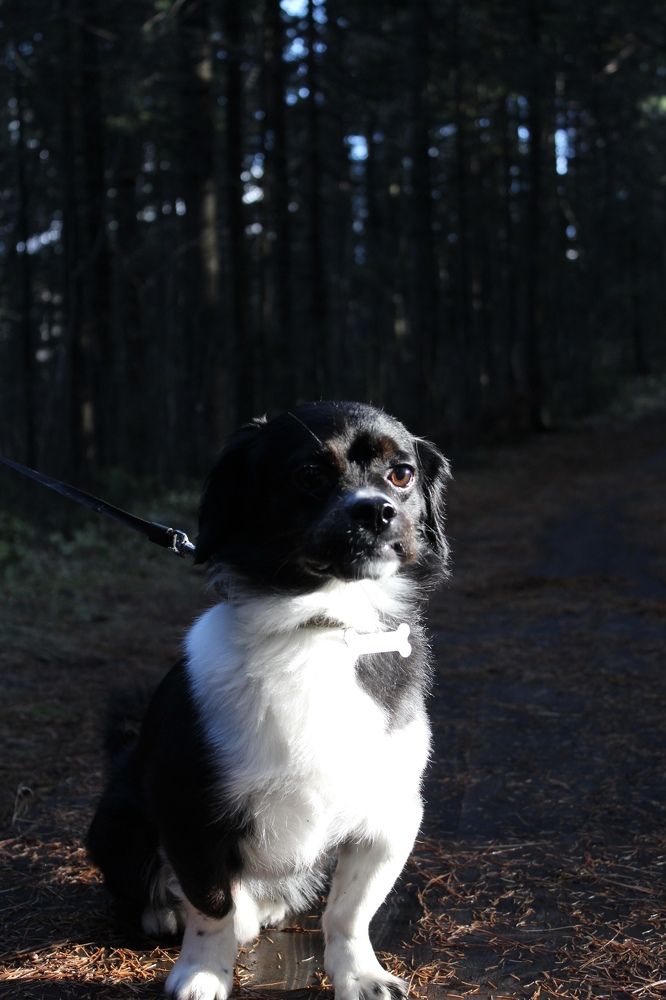 Photograph by Татьяна Пуртова