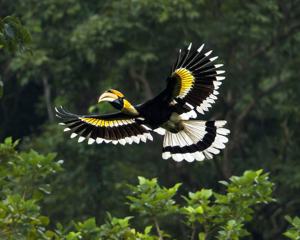 Photograph by Ashik S