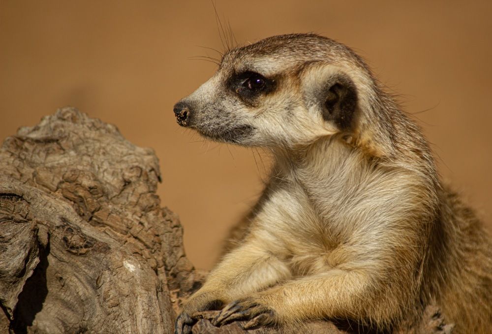 Photograph by Ольга Колокольникова