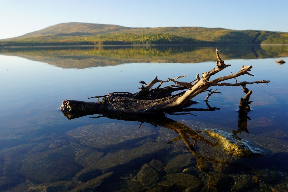 Photograph by Мария Халуторных