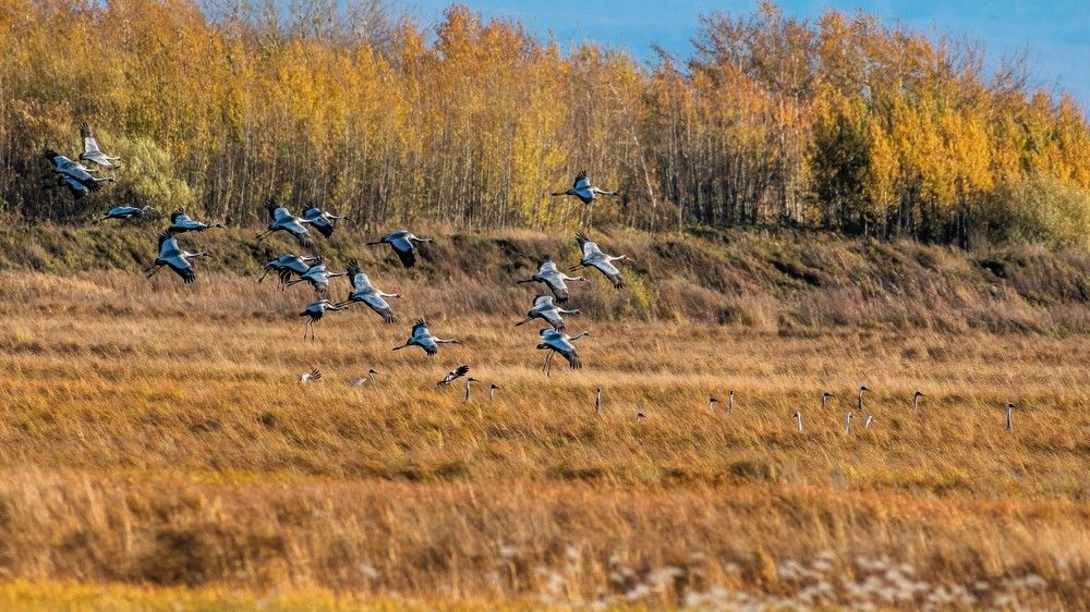 Photograph by константин